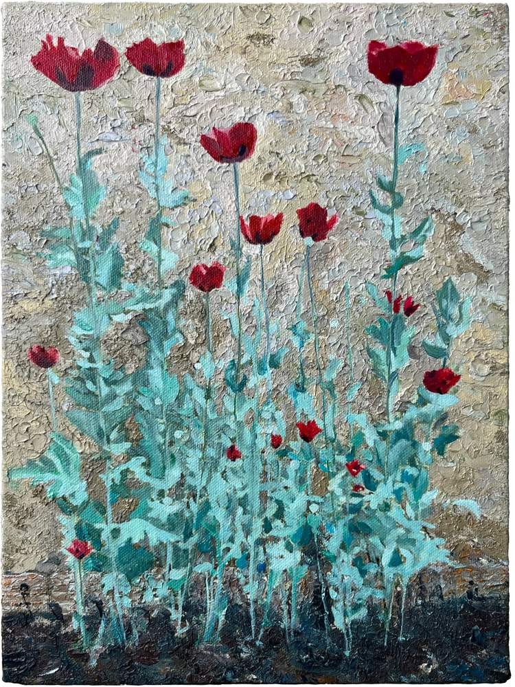Amapola — óleo sobre lienzo, 28,5 × 20,2 cm, 2026